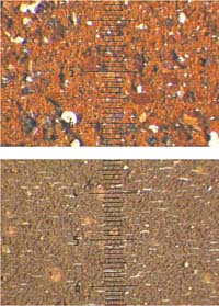 Oelservice Bild2 7a7